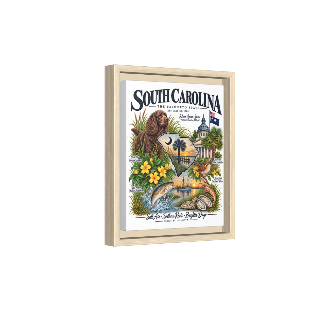 South Carolina Matte Canvas, Framed (Multi-color)