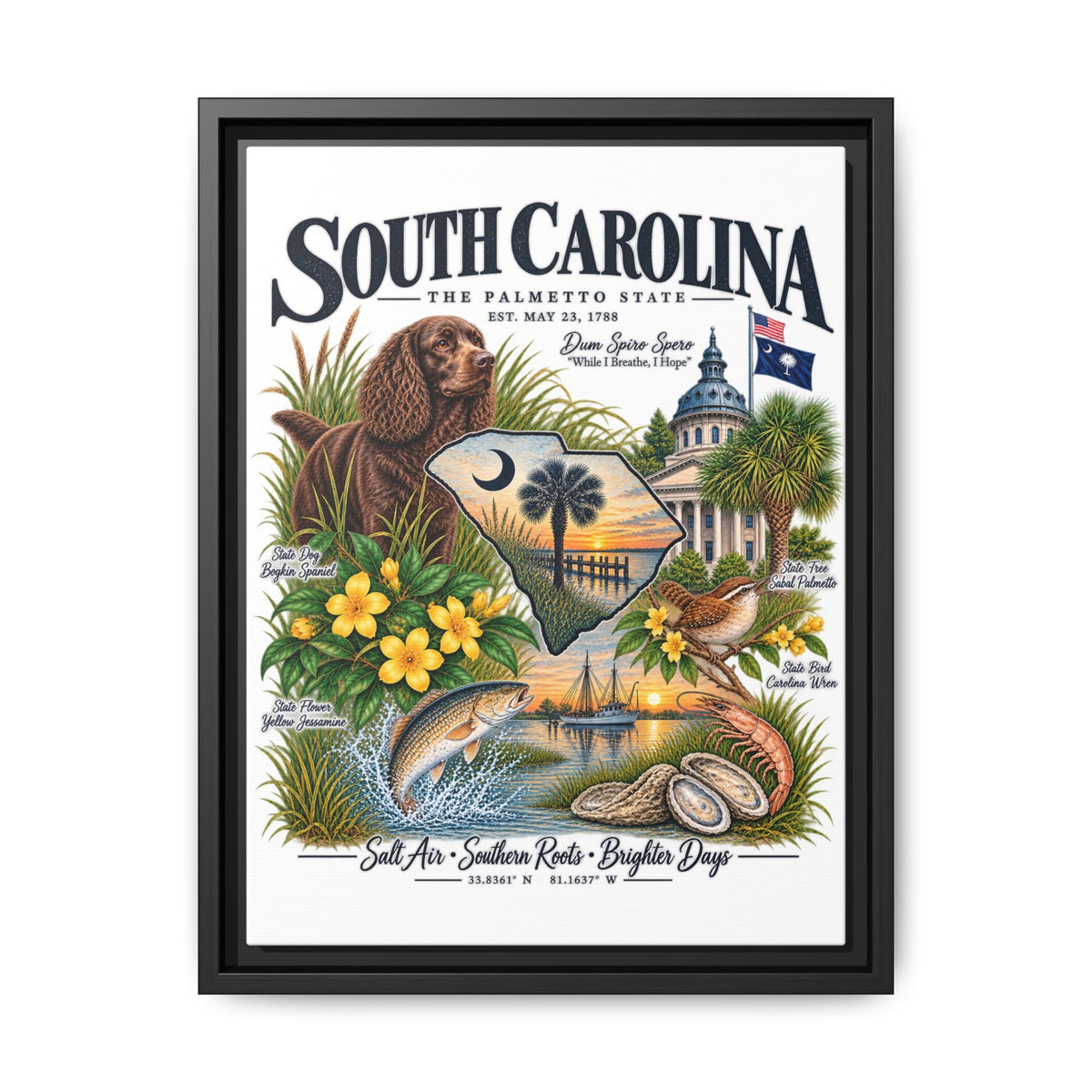 South Carolina Matte Canvas, Framed (Multi-color)