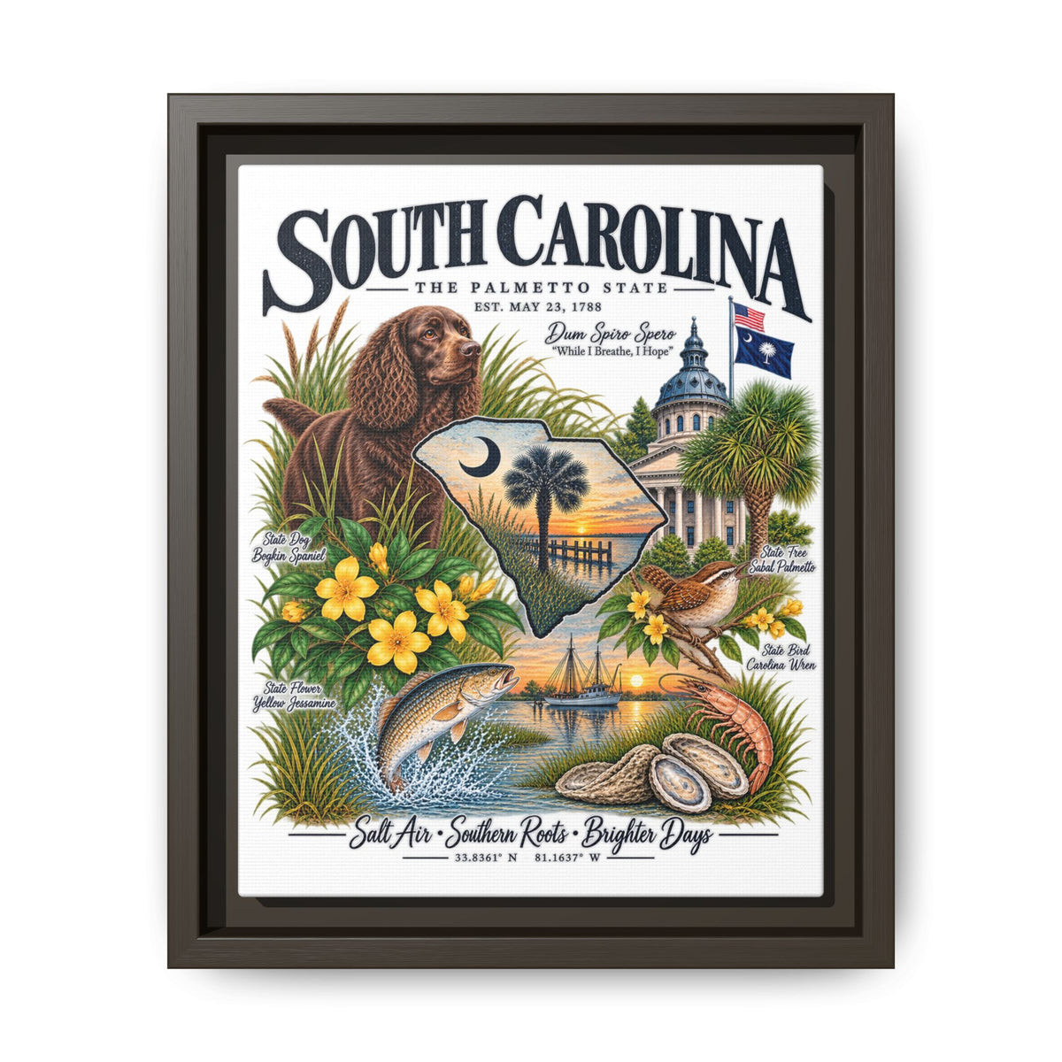 South Carolina Matte Canvas, Framed (Multi-color)