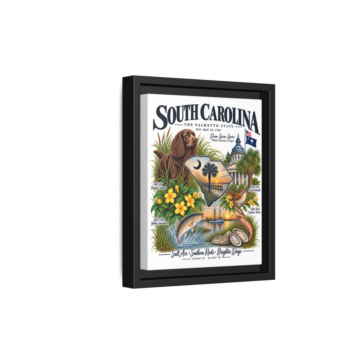 South Carolina Matte Canvas, Framed (Multi-color)