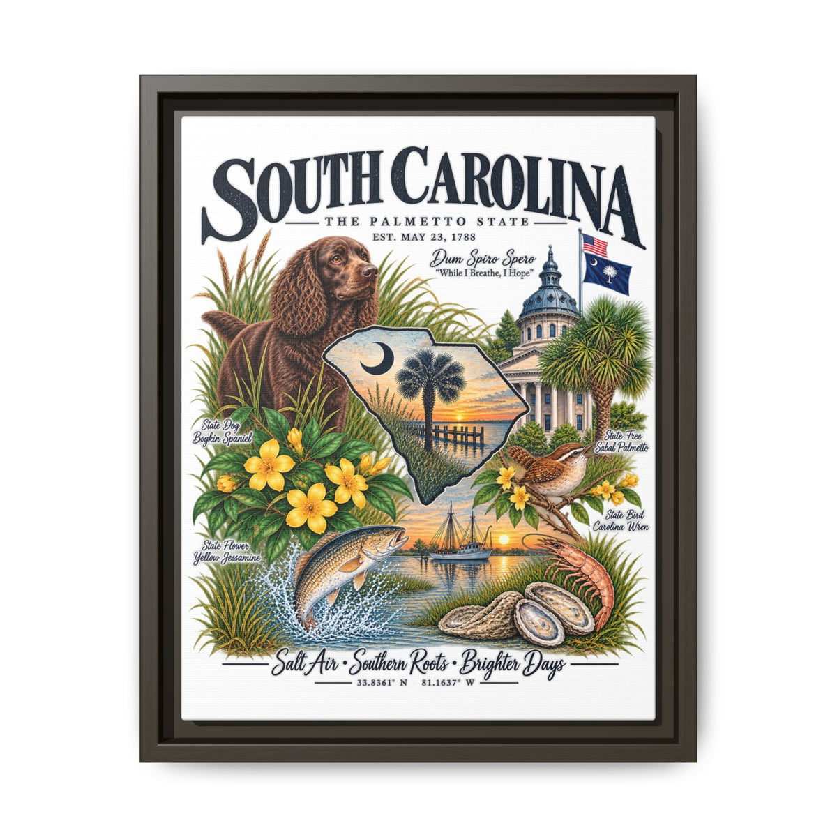 South Carolina Matte Canvas, Framed (Multi-color)