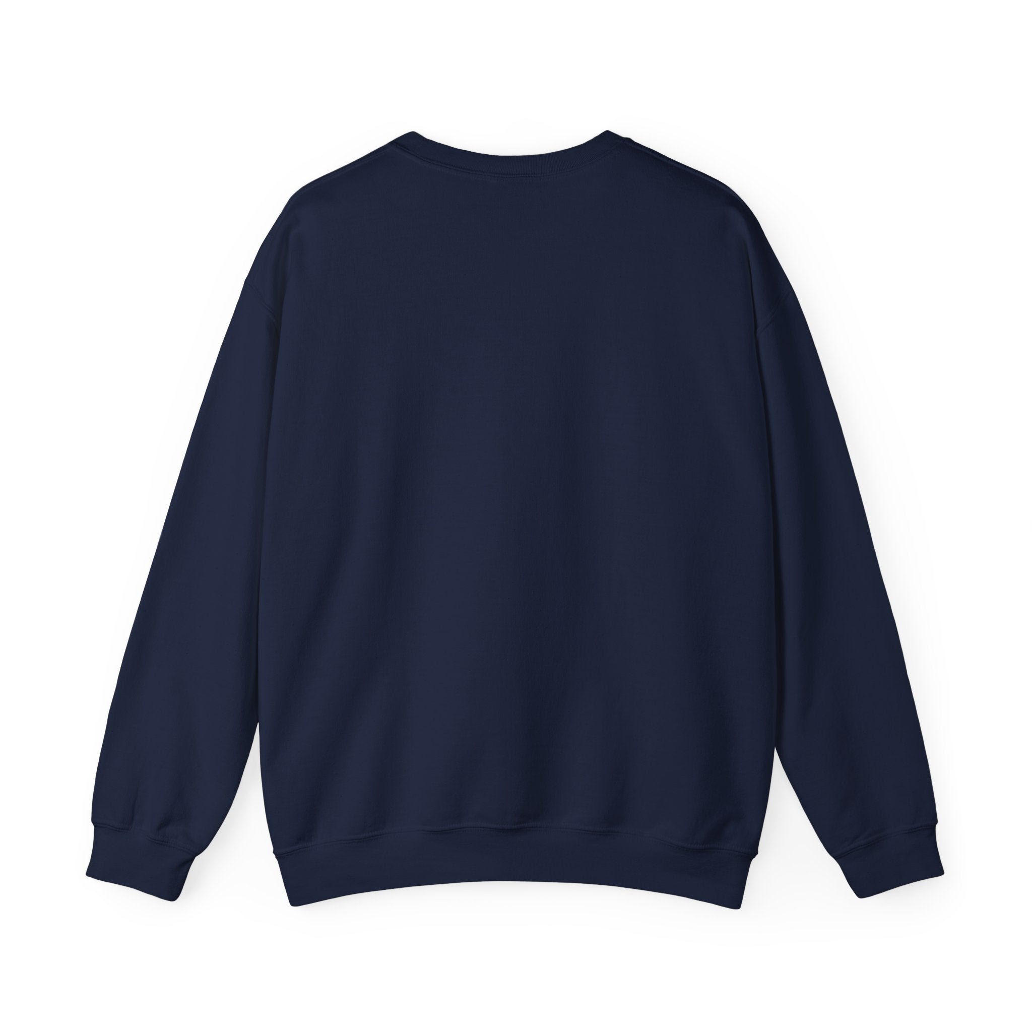 Southern Salt & Breeze Crewneck Sweatshirt — Coastal Palm Beach Vibes
