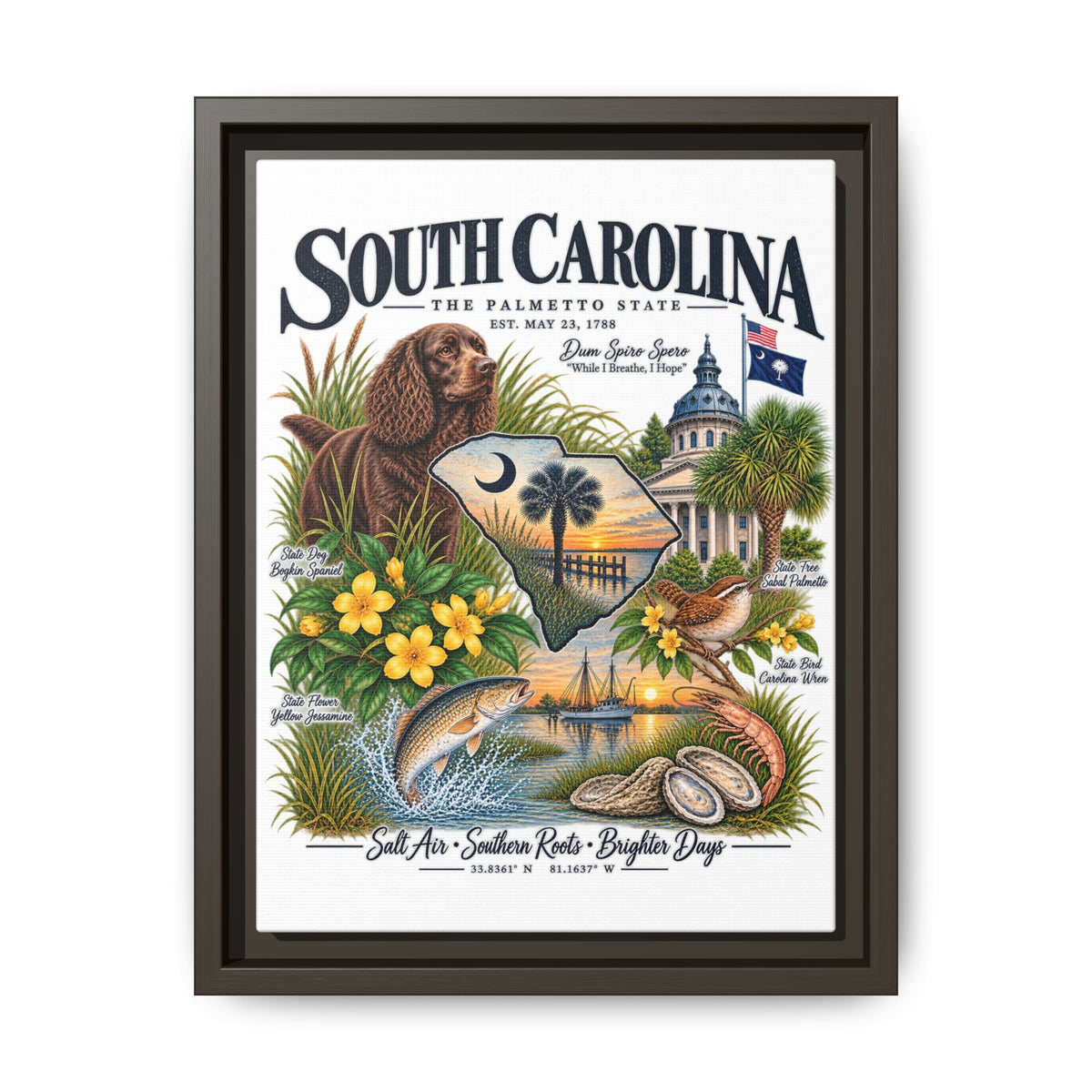 South Carolina Matte Canvas, Framed (Multi-color)