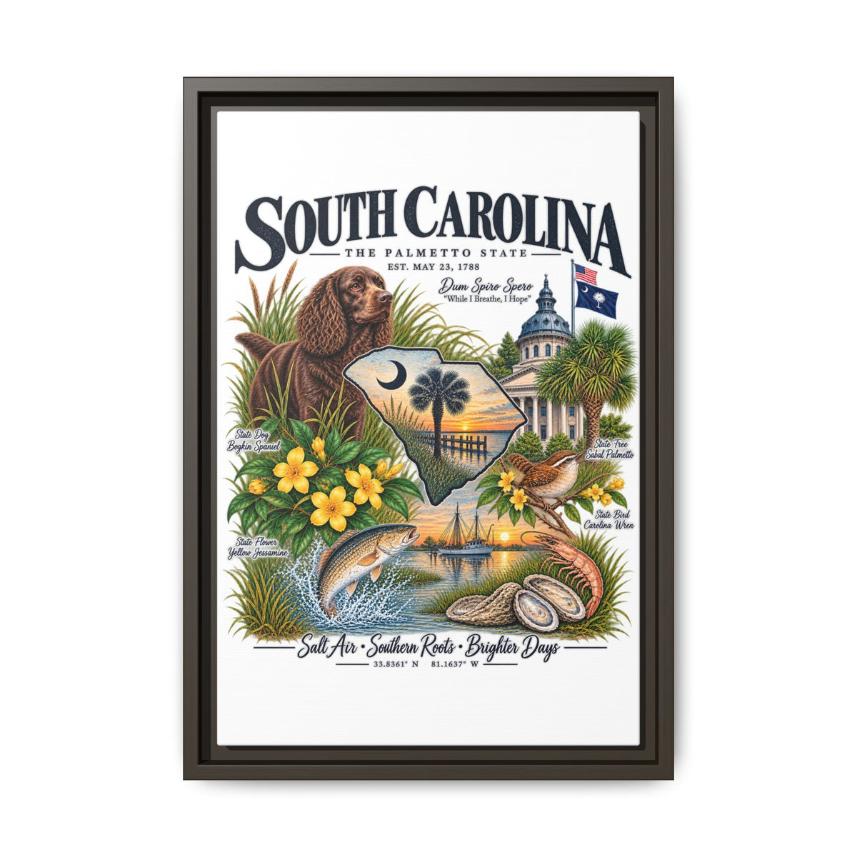 South Carolina Matte Canvas, Framed (Multi-color)